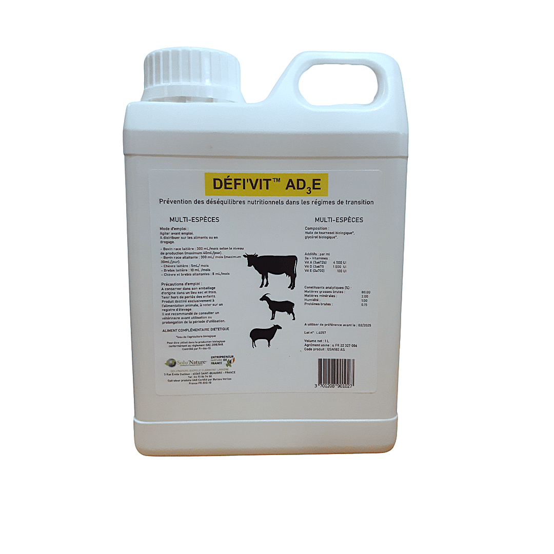 Design sans titre (2)