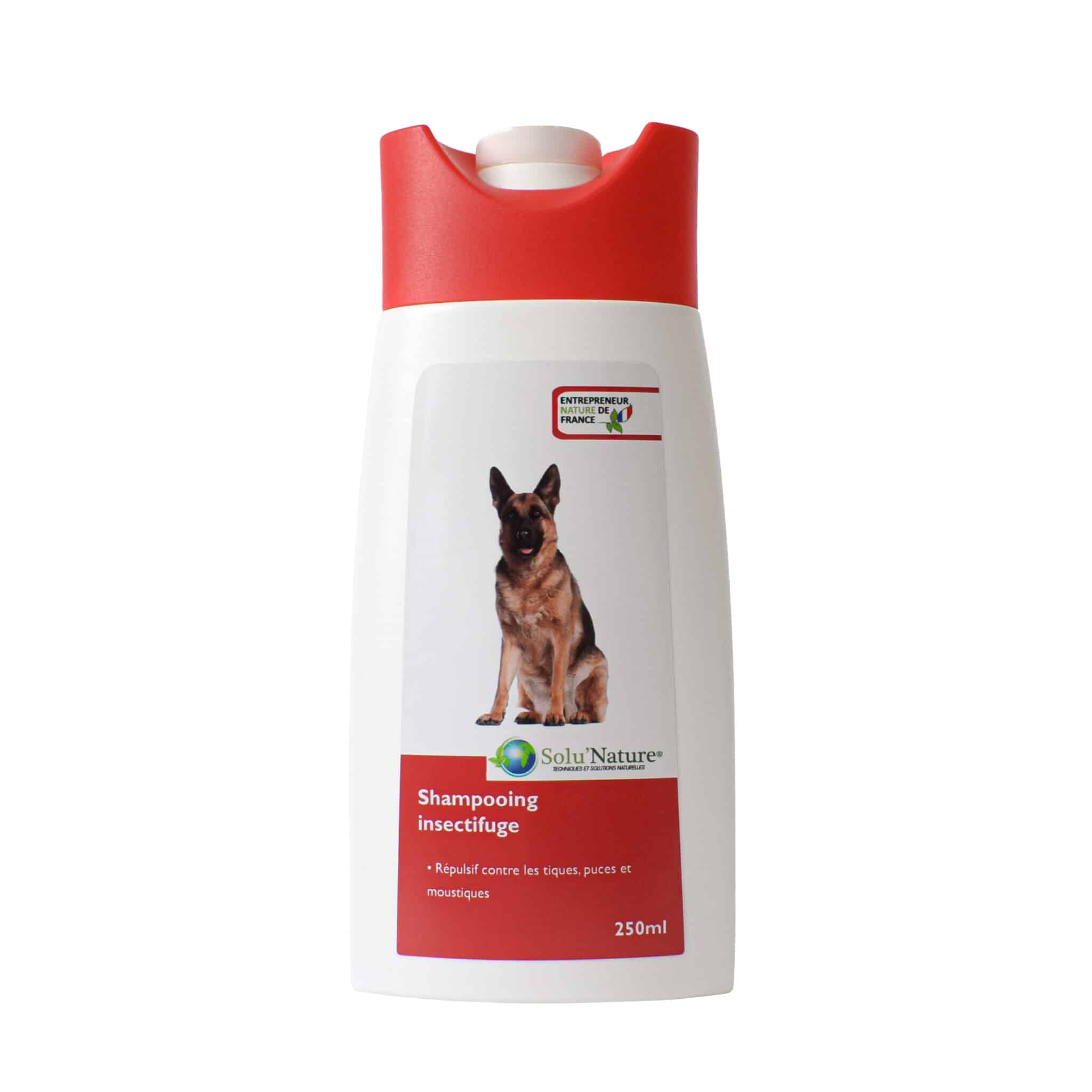 Shampooing insectifuge