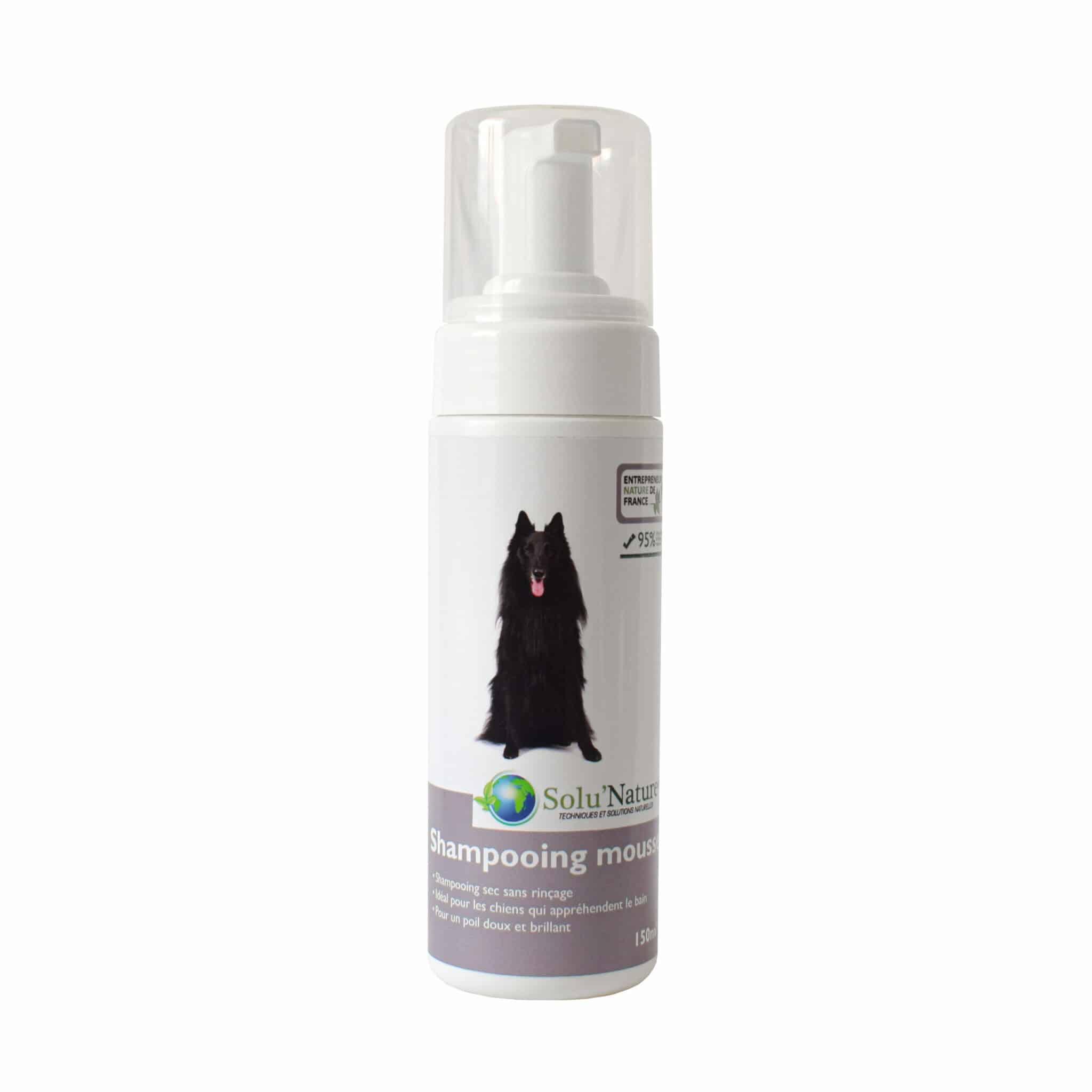 Shampooing mousse chien